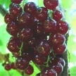 a8e1f341-2558-4cdd-82c2-7542e0f4495a-i-2026-08-26t113539.330.webp
