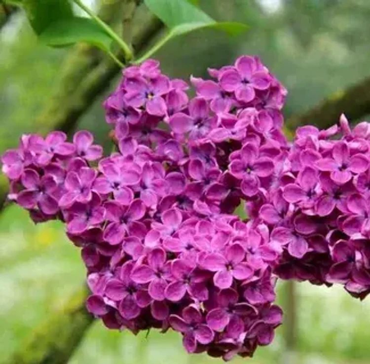 2edb6b3e-323a-4649-8cff-a6d75c0f1e79-i-2026-08-07t091301.100.webp