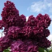 e9896a8b-5f05-453d-9d81-8ca23f69b4a6-i-2026-08-06t124627.417.webp