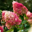 d35c82ed-1ce1-4658-9d99-1315d0e47345-i-2026-08-04t160703.772.webp