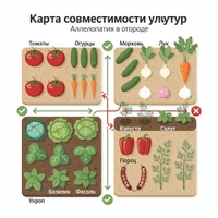 Составление карты совместимости культур (аллелопатия)