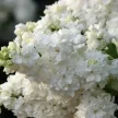 07570778-7c7b-4940-92dc-3f8a82cf71f2-i-2026-08-07t145416.492.webp