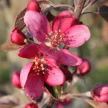 9c3d1cd4-8fd7-49f9-8b9d-d153b4f58c2d-i-2026-08-28t105354.042.webp