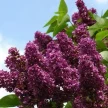 b3c03148-3f60-4084-8e60-058200ca6f95-i-2026-08-07t091312.313.webp