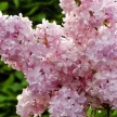 95f38014-73f6-4bd8-9245-d55bcdf783ff-i-2026-08-07t093133.453.webp