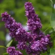 93f124ad-1a26-4cd2-b9eb-4dc8d69dbf52-i-2026-08-07t091241.780.webp