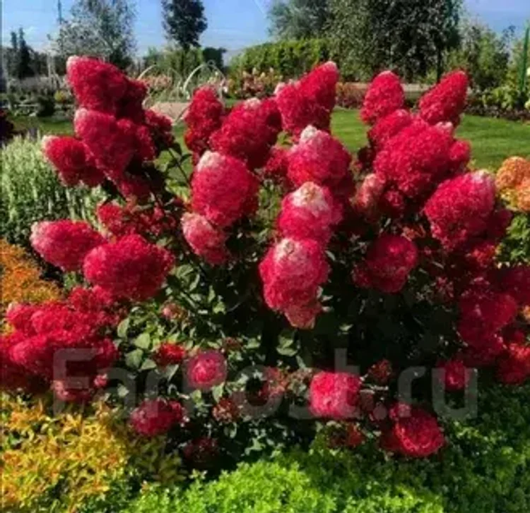 310a5015-a8cc-4830-aa14-afe151fc5d2b-i-2026-08-05t101642.900.webp