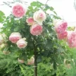 5ae3ade0-85ee-4544-b677-d6b6d4d302fa-i-2026-08-13t113623.511.webp