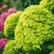 7f7b1b11-9e2f-4f8a-9994-39e6133681f1-i-2026-08-05t083814.071.webp
