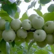 5262740d-7c1d-4989-a7c8-f1dc822ffc41-i-2026-09-07t104140.973.webp
