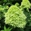22d29085-16c7-449b-a772-e4d1bd5df9bc-i-2026-08-05t083828.926.webp