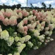 0bc4d232-894d-4853-9c70-4b08d7909ea5-i-2026-08-05t103945.433.webp