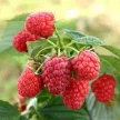8f028315-9f02-4844-ba9a-bc8af6b85a84-i-2026-08-11t131722.891.webp