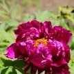 1942609e-583f-42be-aeff-88e6a8a6a50b-i-2026-08-12t112546.273.webp