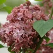 4785bd15-0059-49f4-bf86-c488b08cc624-i-2026-08-06t144005.470.webp
