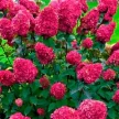 1dd2dd15-ee43-4db2-a5d5-4fddcb0ca43a-i-2026-08-05t101556.782.webp