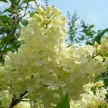 e6a52270-9779-43ae-b3c7-ea42e004527e-i-2026-08-07t112444.564.webp