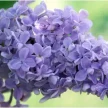 c6da4bb1-3e81-48ab-979e-22dfdc2439b3-i-2026-08-07t092653.836.webp