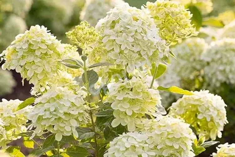 761db5de-b213-477f-99c9-35c8c1277f41-i-2026-08-03t131251.342.webp