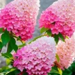 bd8d08a8-286c-44c5-b58b-5a8bf5420fa1-i-2026-08-04t113604.483.webp
