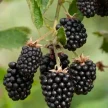 7f6c40ad-d0d6-4c59-a3a8-6497e3a5000b-i-2026-08-07t105837.025.webp