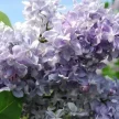 8871b0bd-f073-4d09-aa46-07c56bd6b601-i-2026-08-06t150013.201.webp