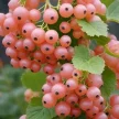 c5b27634-c693-4c82-8f25-916cf12e545c-i-2026-08-13t121251.259.webp