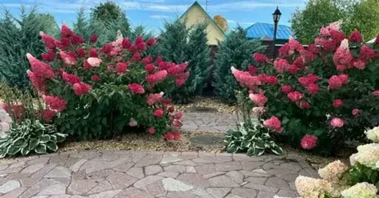 eca4eee7-0b4c-40d5-aaa4-f75152440174-i-2026-08-05t150505.990.webp