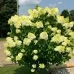 32f30d36-5085-4bd5-969c-f5f75aca6597-i-2026-08-05t150923.536.webp