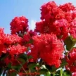 94901f00-19dd-409b-9791-ee4e1d461a9b-i-2026-08-07t131956.530.webp
