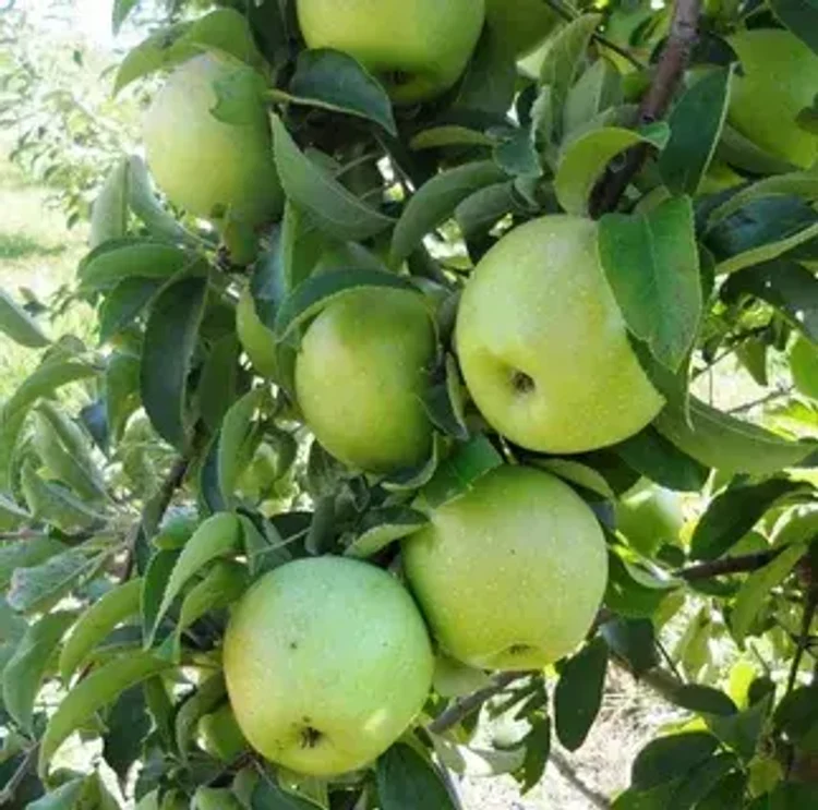 84ddab29-2995-406c-afca-06fe79acd315-i-2026-09-14t105355.512.webp