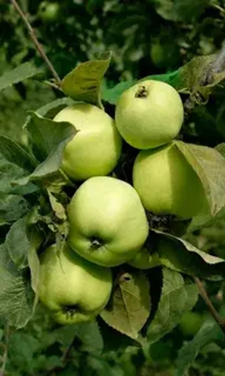 55253a23-d98d-44de-96f9-0d48b96bb550-i-2026-09-08t115355.376.webp