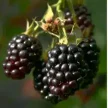 8e9e87a9-e7ce-4514-849f-85e83c54fb34-i-2026-08-07t111547.462.webp