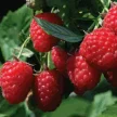 6c01755b-b3b5-40cd-9ab9-898d396f3b5d-i-2026-08-11t143224.347.webp