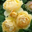 9256c10d-27de-4d1b-b53a-2388ad2d4c60-i-2026-08-13t090731.668.webp
