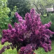 0d9ca029-e335-4940-8db7-365b02aa683e-i-2026-08-10t144020.692.webp