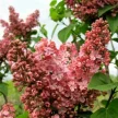1f7e9d8d-f6f1-4073-88c9-c77afcc2cb22-i-2026-08-07t161336.011.webp