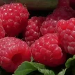 0fd49b41-a8c6-465b-b402-0b5f988af5c2-i-2026-08-11t114906.642.webp