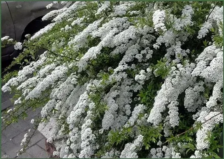 0f46ed0e-6210-4892-a778-3ae6f1bbc530-i-2026-08-11t135428.964.webp