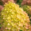 359ea1fd-bce8-48c3-9d89-f4aedcde72ed-i-2026-08-03t131328.572.webp