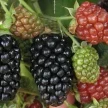 062a3e40-1182-4ba8-bf15-62798bd1dd3e-i-2026-08-07t132033.579.webp