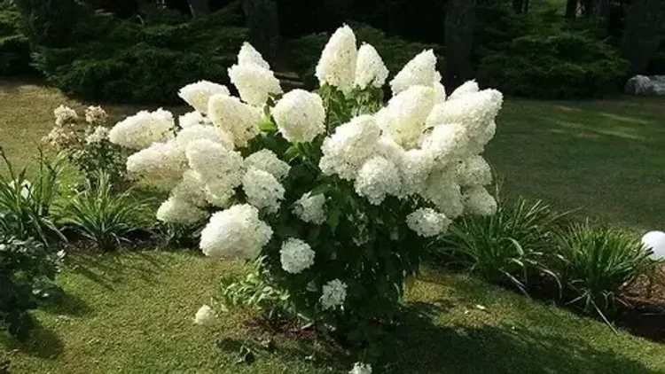 d8666789-de7c-470a-8efb-8718db79e395-i-2026-08-05t100751.515.webp