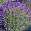 3e68346e-ee6e-41a7-9029-83603f61e374-i-2026-08-11t144954.086.webp