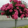 b48cf533-17f0-4a65-adaf-82431972da5d-i-2026-08-13t110326.484.webp