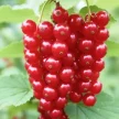 733b5c24-caf9-43c4-b17a-7064775dd7db-i-2026-08-12t153923.751.webp