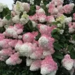 b76b7f78-5b8c-453a-831b-dfb5dd0eacfd-i-2026-08-05t095830.113.webp