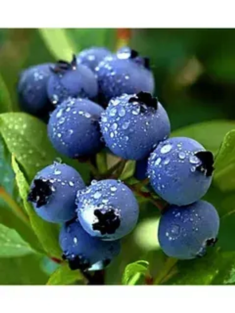 3b01bf46-7514-48d7-9a5e-a04d7e66c1aa-i-2026-08-26t094125.240.webp