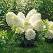 7cb0b233-31ab-459c-b3a2-b43a62781e98-i-2026-08-04t140043.342.webp