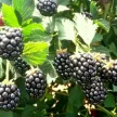 117d9cf1-60d5-492c-9355-96f990c7e524-i-92.webp