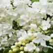 4863f173-6980-4d94-933f-ce74f49e4e9d-i-2026-08-06t085404.493.webp